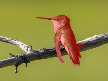 Adobe’s New Lightroom Updates