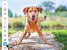 Photoshop Elements 2027 Is Here