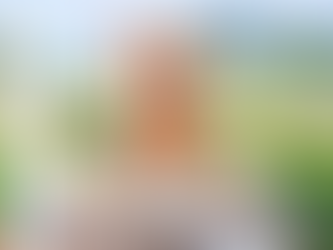 Photoshop Elements 2027 Is Here