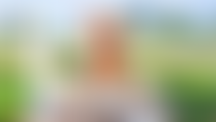 Photoshop Elements 2027 Is Here
