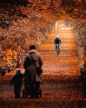 Photo Analysis: An Autumn Mood