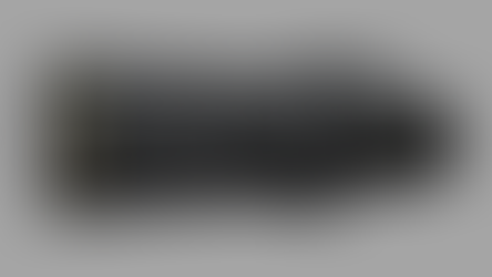 Nikon Is Developing A 120-300mm f/2.8 S Lens