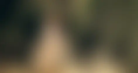 Soft Focus Photography