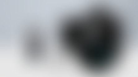 Lumix S5 Firmware Update For Professionals