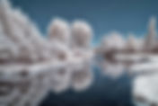 Photo Technique Exploration: Infrared Photography