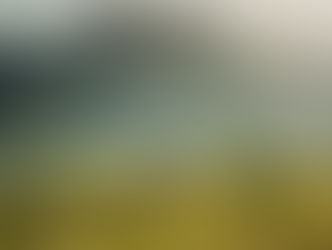 Photo Analysis: Running Home