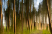 Intentional Camera Movement