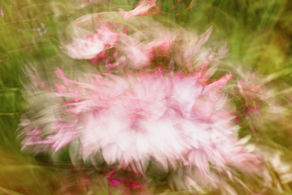 The Pep Ventosa Photography Technique