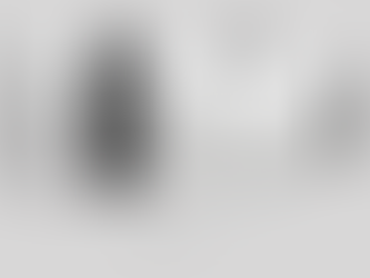 New Sigma 200mm f/2.0 Lens Leaks
