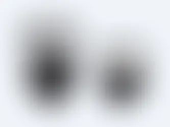 Sony Released Two New Flashes