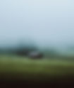 Understanding Aperture in Photography