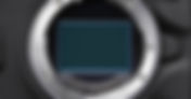 Canon Commits to Sensor Production