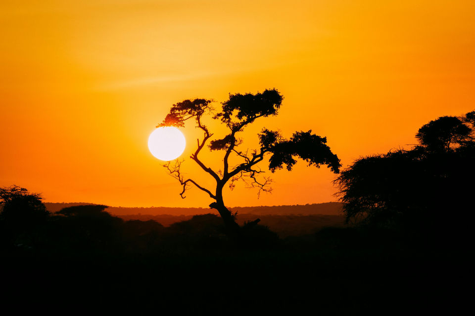 Landscape Photography