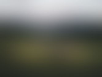 Focus Stacking in Photography