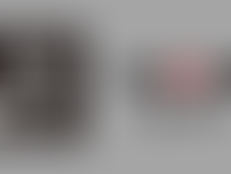 Songdian Joins Micro Four Thirds System