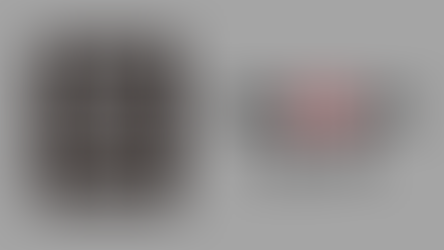 Songdian Joins Micro Four Thirds System