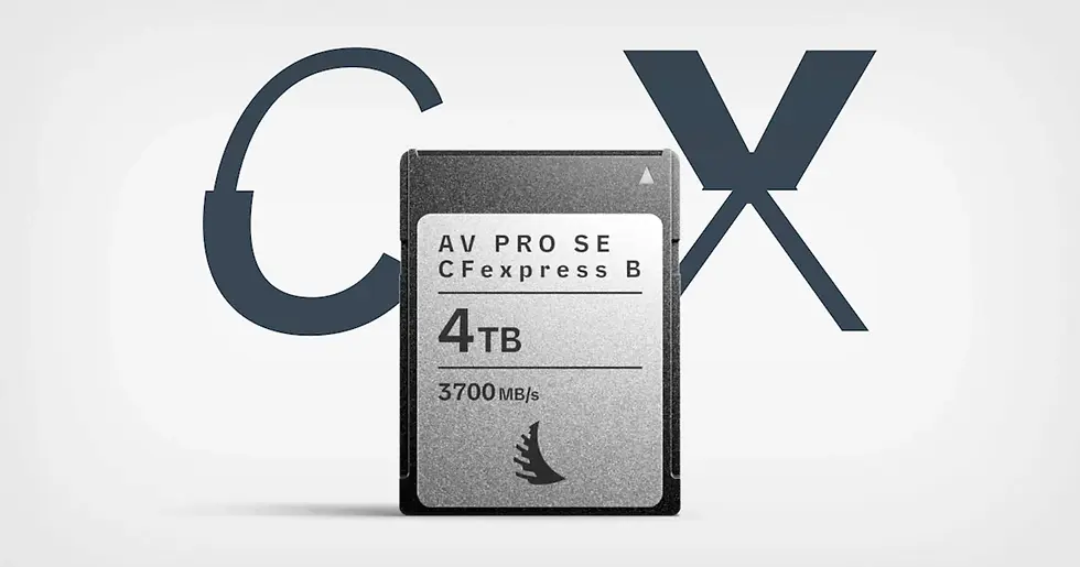 SD Card