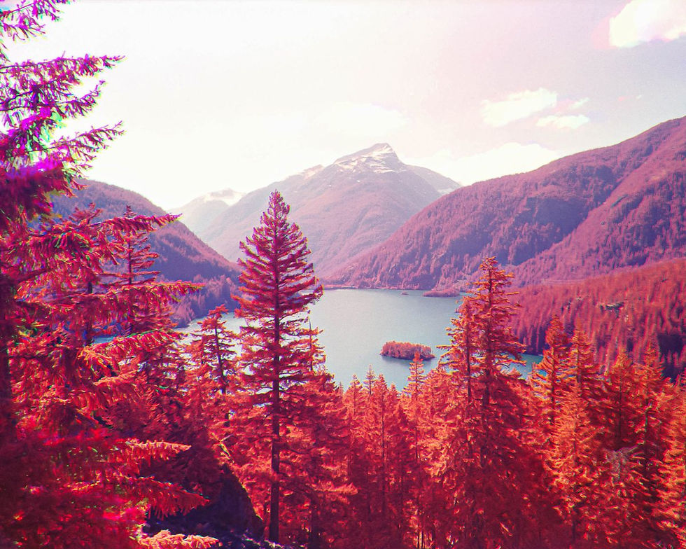 Trichrome Photography of landscape