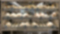 1820246 2_edited_edited.jpg