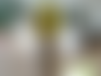 Produkttest: Bioplanète Öl Curry & Co