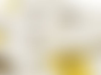 Ökologische Innovation: Windelbär