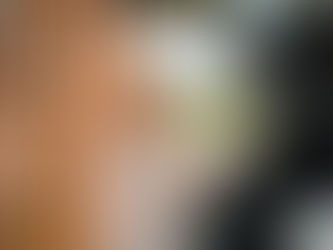 Mobile Wallboxen im Vergleichstest