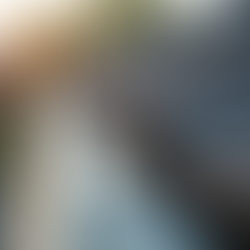 Essential Roof and Gutter Cleaning Tips