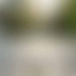 Top Benefits of Driveway Cleaning Services