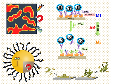 Biomed1.png