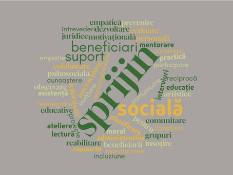 Engaging Students in Probation Volunteering: Reflections from a European Multiplier Event