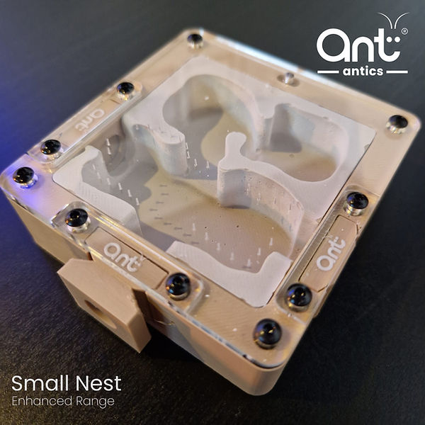 Nests | Ant Antics