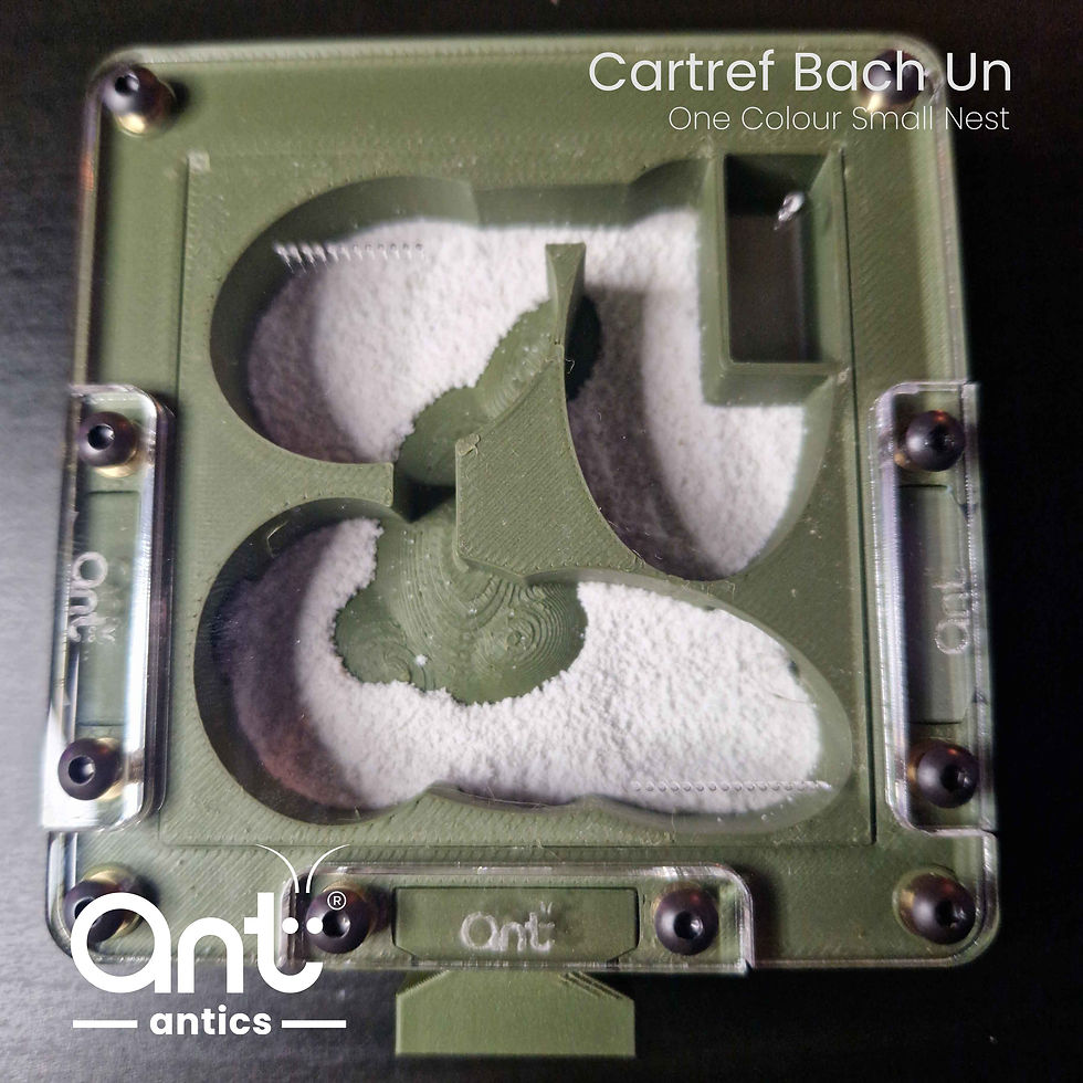 Thumbnail: Cartref Bach un (3 Port 1 colour Small Nest) CORE