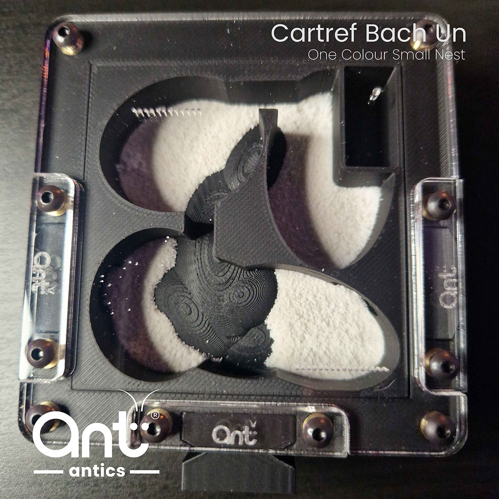 Thumbnail: Cartref Bach un (3 Port 1 colour Small Nest) CORE