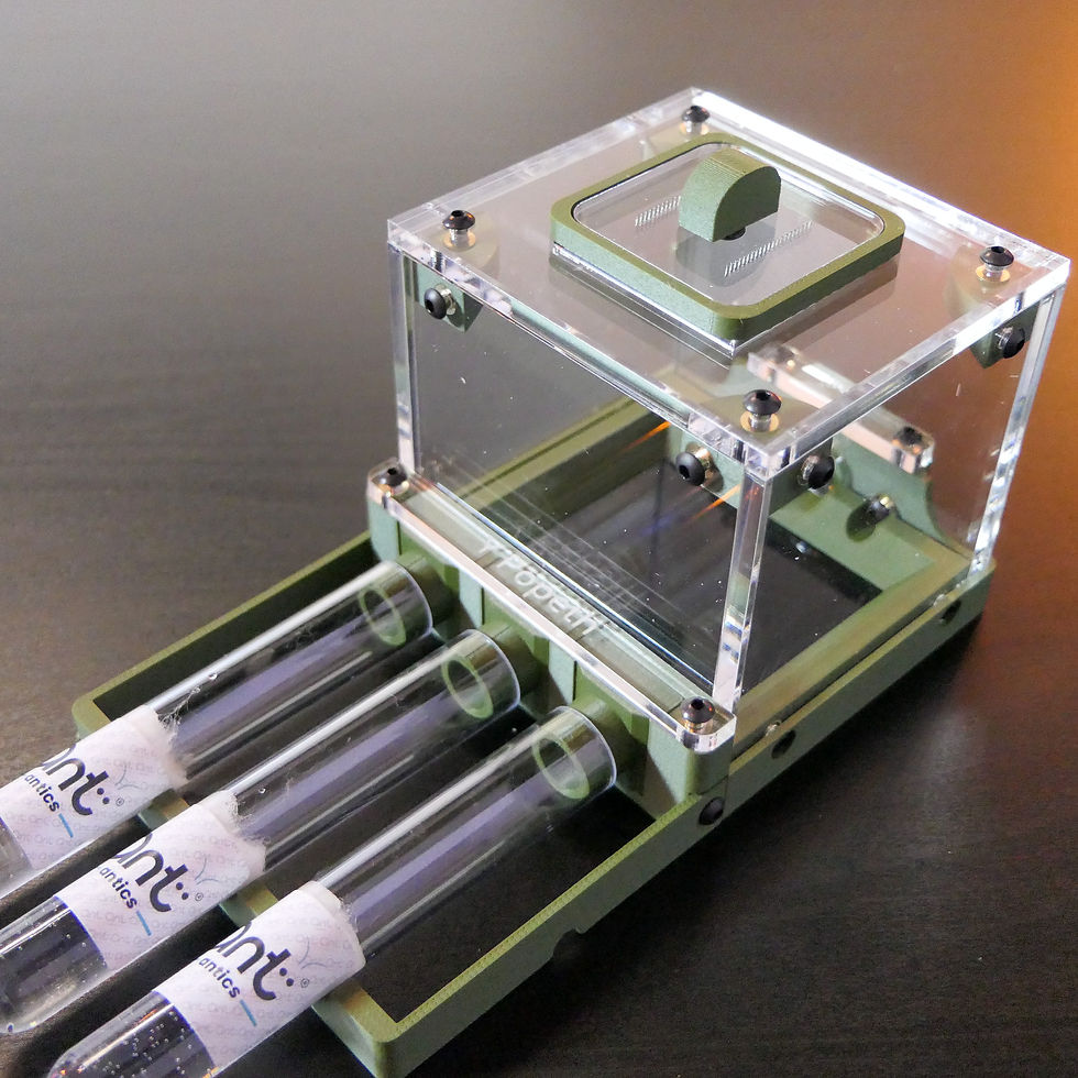 Thumbnail: Y Popeth - The Everything Nest