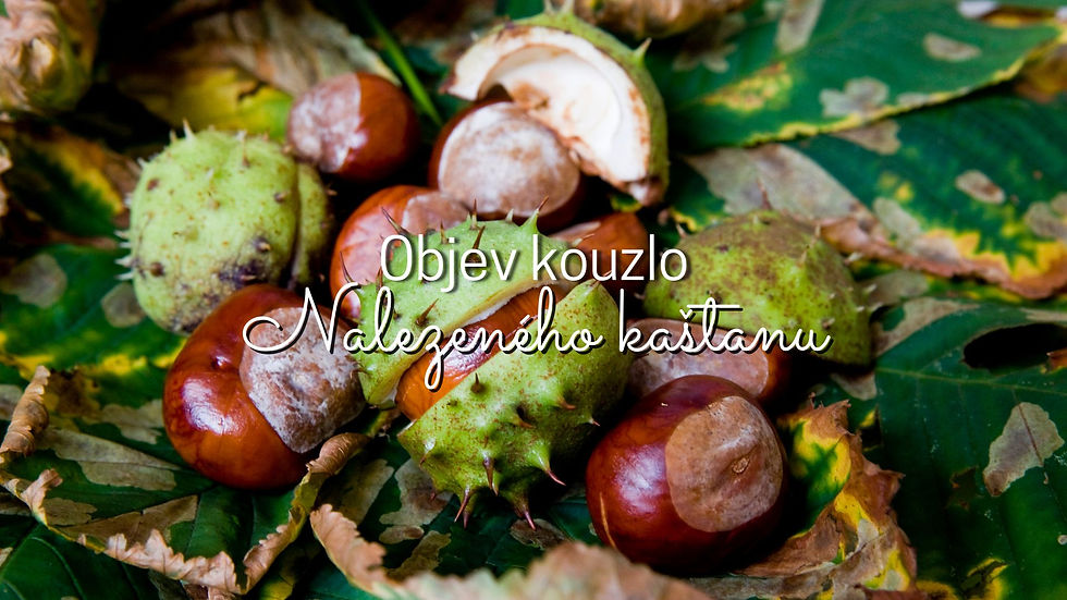 Kouzlo nalezeného kaštanu