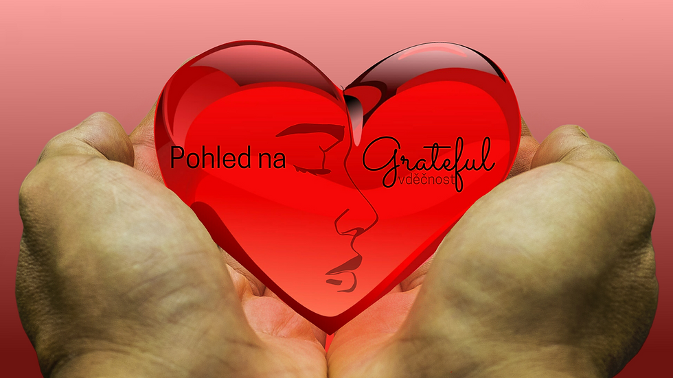 Tvůj pohled na vděčnost