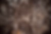 AdobeStock_474007320.jpeg