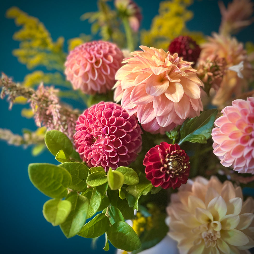 Fall dahlias and zinnias