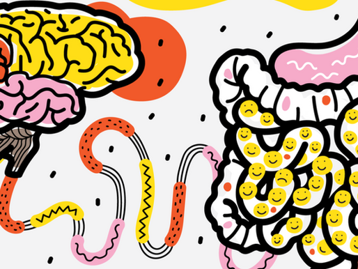 Immunity And Gut Health