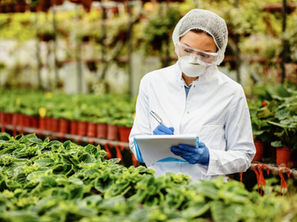 Enhancing Fertilizer Efficiency through Integrated Nutrient Management