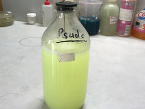 How Biofertilizers and Biostimulants in Agriculture are Powering the Future of Sustainability