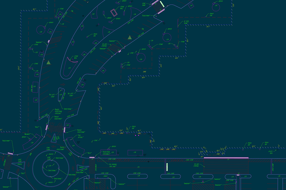 ALTA NSPS.pdf (1).png