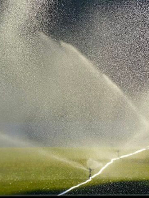 water sprinklers can be seen in a green field sprinkling water in a vast area highlighting precision irrigation in farming