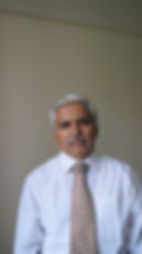 Vishwesh, CEO of Primaverse