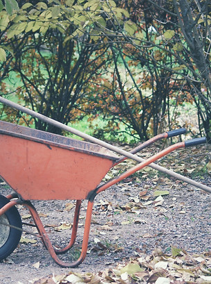 Rake and Wheelbarrow