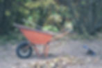 Fall Clean Up