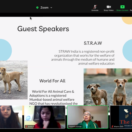 Adopting VS Buying Dogs: A Webinar 