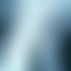 Discover Flexible Insurance Services for Every Need