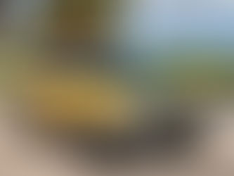 Uncovering the Best Auto Insurance Deals: Tips, Tricks, and Must-Knows for Texas and Florida Shoppers