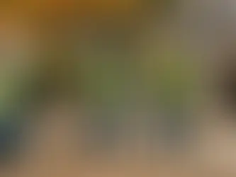 Homeowner's Guide: Insuring Your Home During Fall Renovations